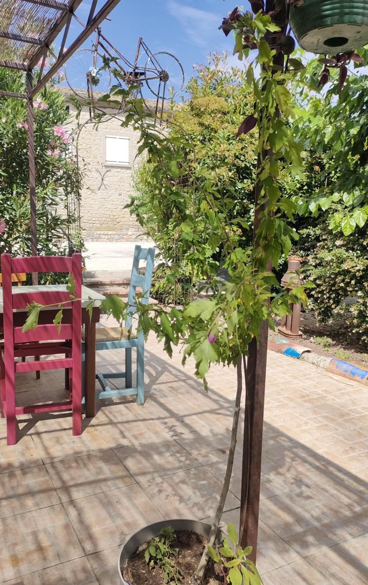 Les P'Tits Velos Bed & Breakfast Chandolas ภายนอก รูปภาพ